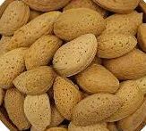 فروش بادام سنگی + قیمت خرید